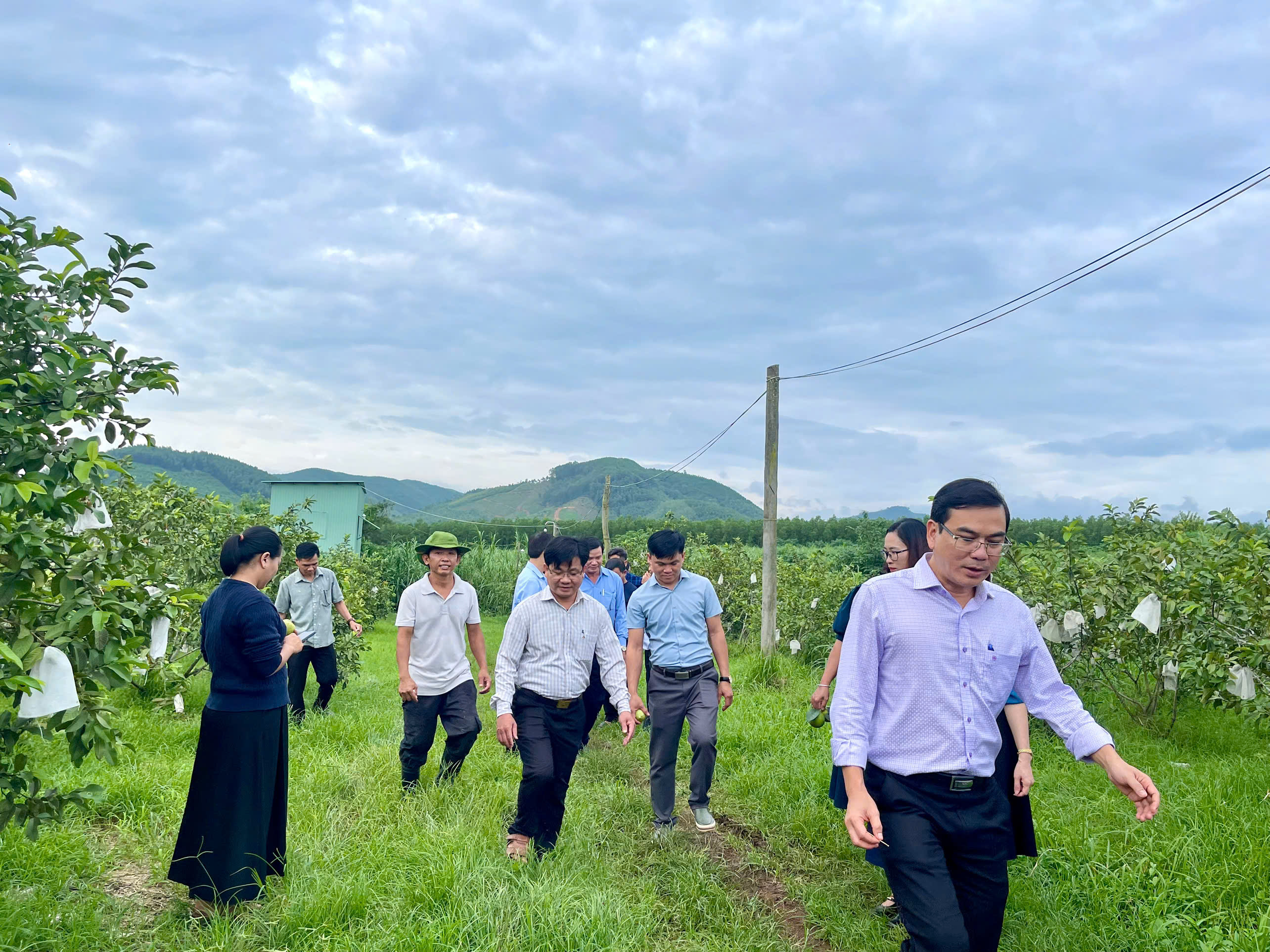 z7174625934674_f1cc5e0b7c7b093f48f5933ca52a4f54